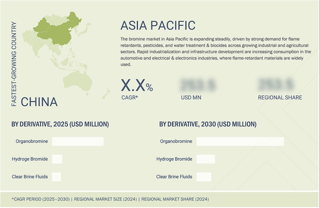 臭素市場規模、シェア、動向、2030年までの世界予測 - 地域