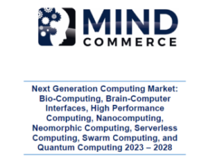 Next Generation Computing Market: Bio-Computing, Brain-Computer Interfaces, High Performance Computing, Nanocomputing, Neuromorphic Computing, Serverless Computing, Swarm Computing, and Quantum Computing 2023 – 2028 次世代コンピューティング市場：バイオコンピューティング、ブレインコンピュータインターフェース、高性能コンピューティング、ナノコンピューティング、ニューロモーフィックコンピューティング、サーバーレスコンピューティング、スワームコンピューティング、量子コンピューティング　2023-2028年