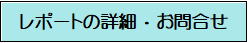 レポートのお問合せ