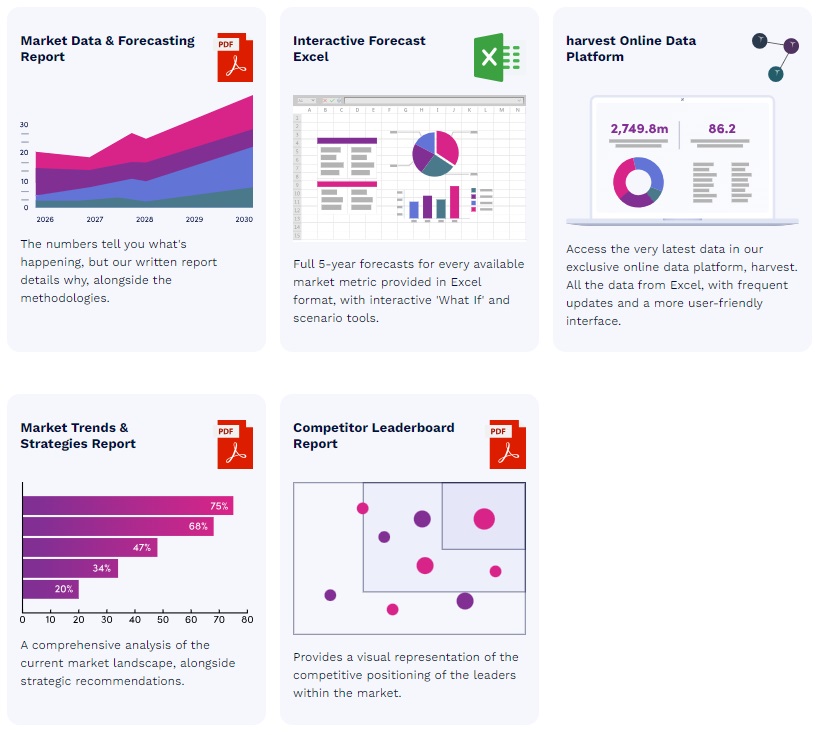 B2B決済市場　2024-2028年 - Juniper Research1