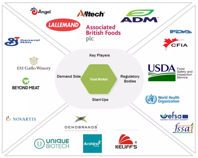 酵母市場 : 2029年までの世界予測