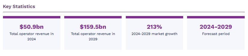 世界の通信API市場 2024-2029年 12