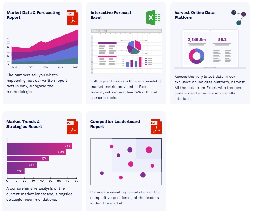 世界の通信API市場 2024-2029年