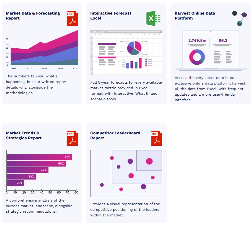 世界のA2A決済市場　2024-2029年 12