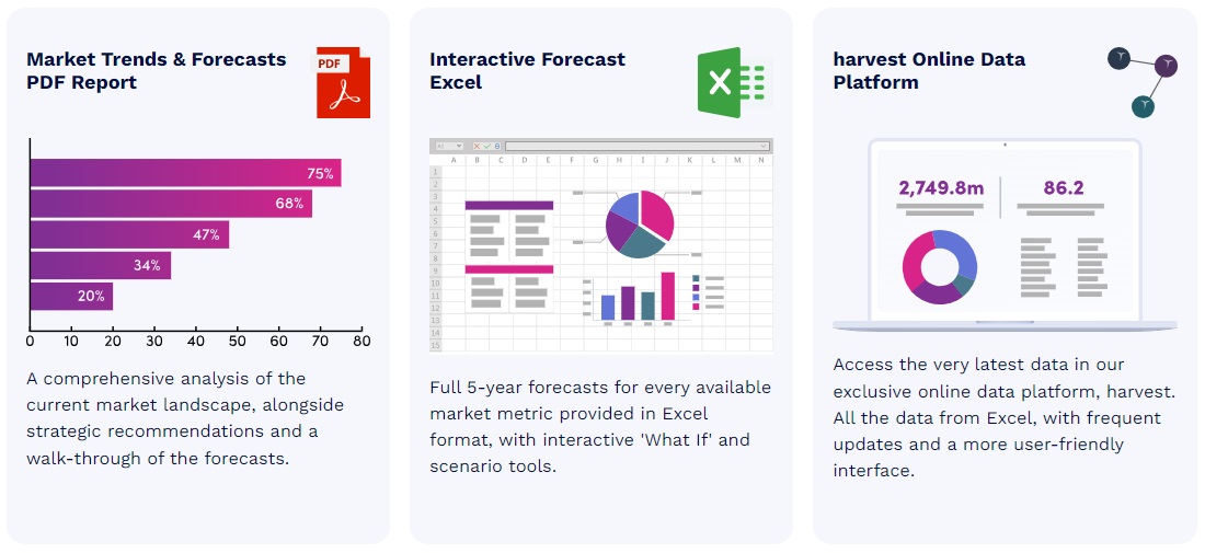 世界のDirect-to-Cell市場　2024-2029年 12