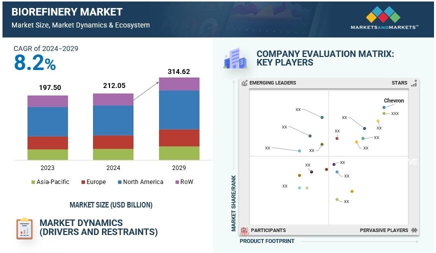 バイオリファイナリー市場規模、シェア、動向、2029年までの世界予測 0
