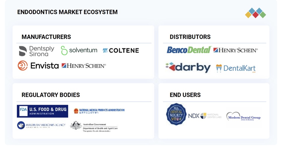 歯内療法市場規模、シェア、動向、2030年までの世界予測