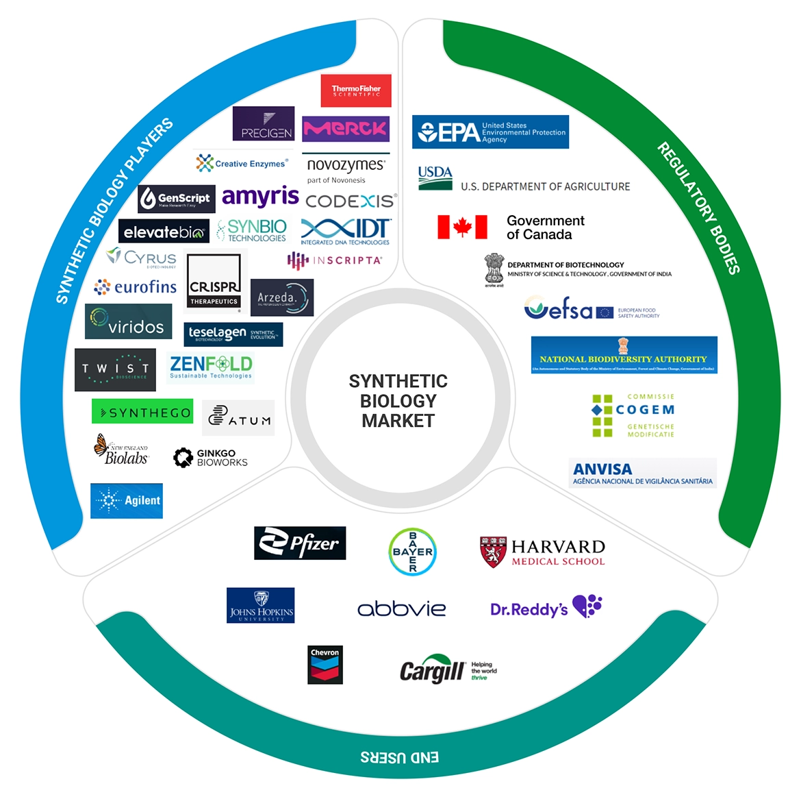 合成生物学市場 – 2029年までの世界予測