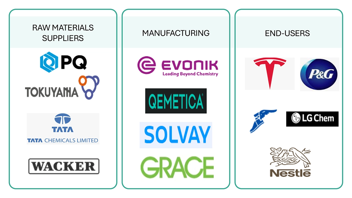 沈降シリカ市場 – 2030年までの世界予測