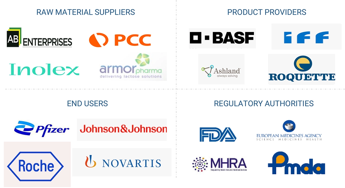 医薬品添加剤市場 – 2030年までの世界予測 - SEMABIZ