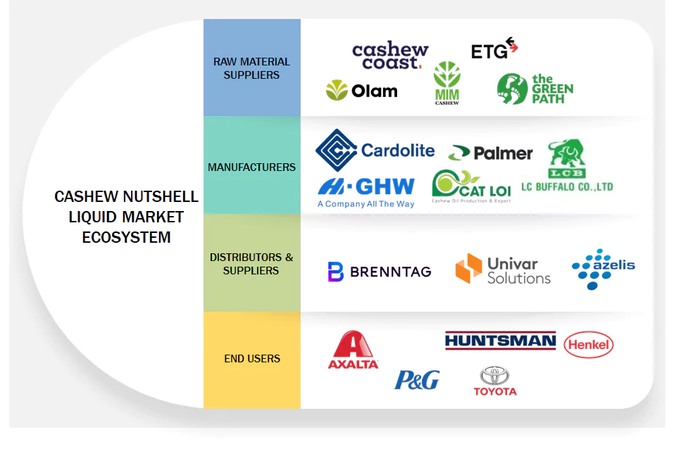 カシューナッツ殻液市場 – 2030年までの世界予測 - SEMABIZ