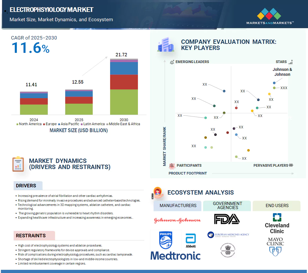 電気生理学市場 – 2030年までの世界予測 - SEMABIZ