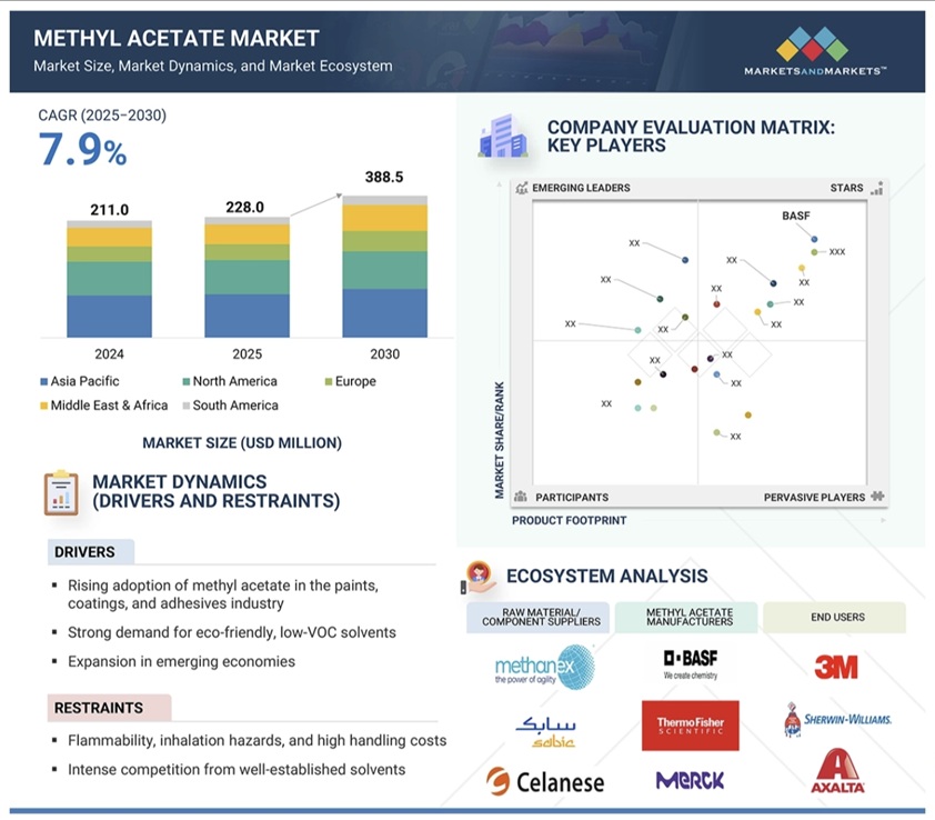 酢酸メチル市場規模、セグメント分析、2030年までの世界予測
