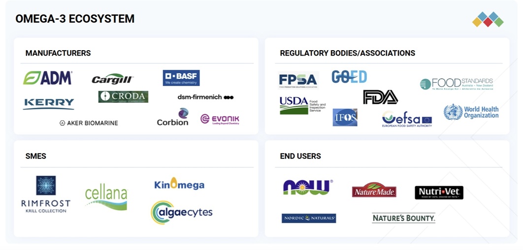 オメガ3市場規模、シェア、動向、2030年までの世界予測