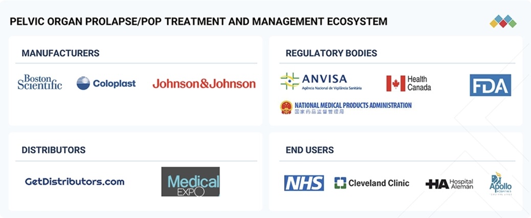 骨盤臓器脱の治療と管理 / 骨盤臓器脱市場規模、シェア、動向、2030年までの世界予測