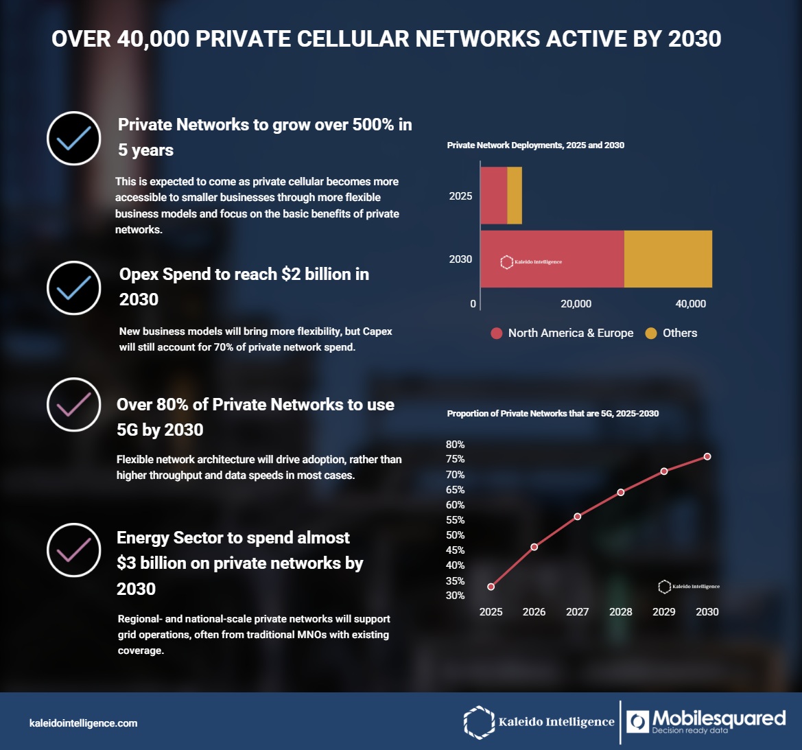 プライベートLTE＆5Gネットワーク展望　2025年