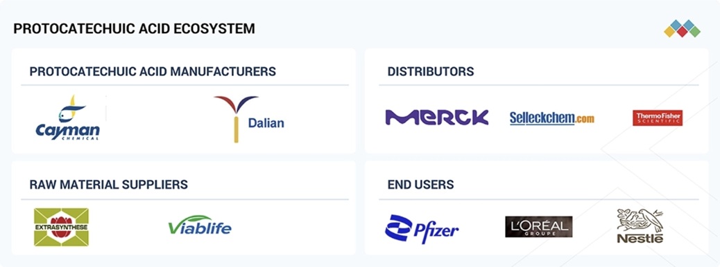 プロトカテク酸(PCA)市場規模、シェア、動向、2030年までの世界予測
