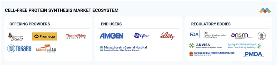 無細胞タンパク質合成市場規模、シェア、動向、2030年までの世界予測