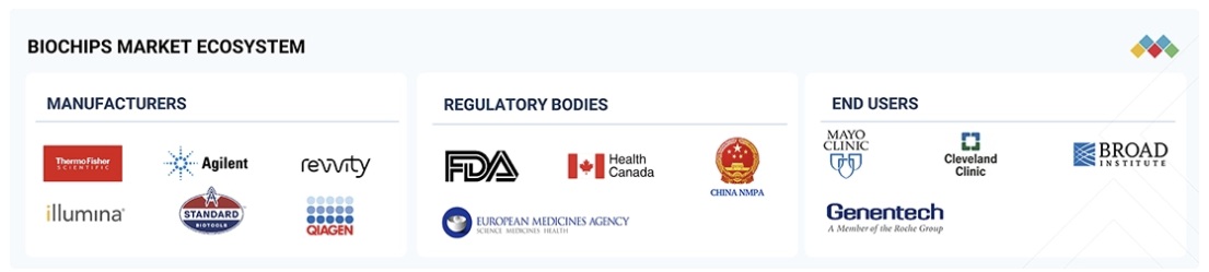 バイオチップ市場規模、シェア、動向、2030年までの世界予測 - 対象企業