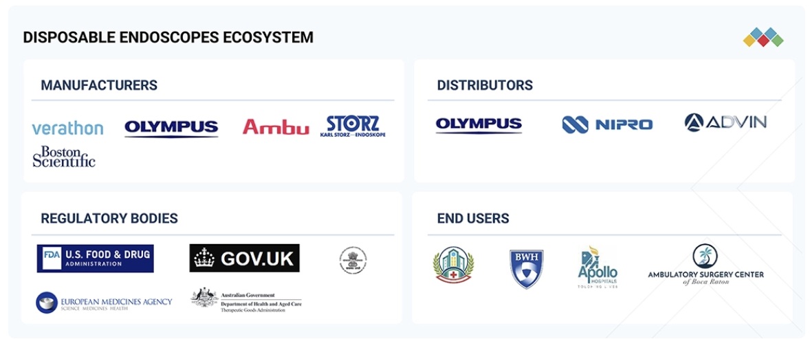 使い捨て内視鏡市場規模、シェア、動向、2030年までの世界予測 - 対象企業
