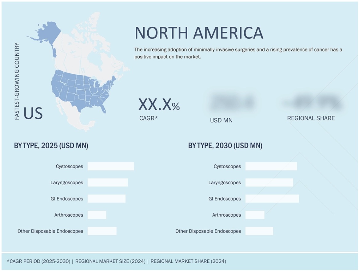 使い捨て内視鏡市場規模、シェア、動向、2030年までの世界予測 - 地域
