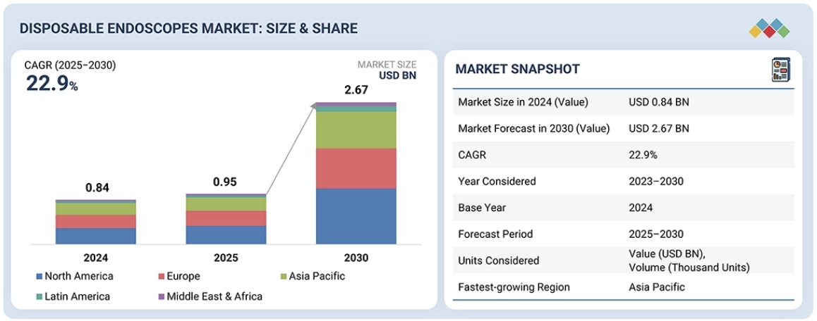 使い捨て内視鏡市場規模、シェア、動向、2030年までの世界予測