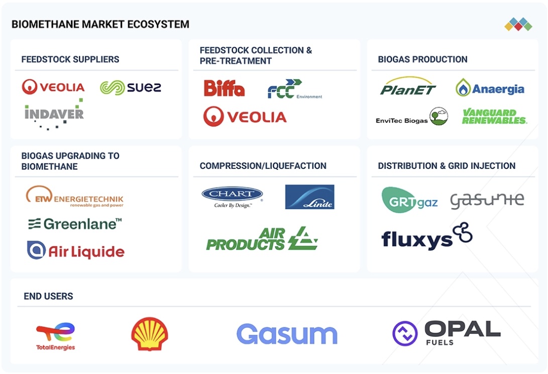 バイオメタン市場規模、シェア、動向、2030年までの世界予測 - 対象企業