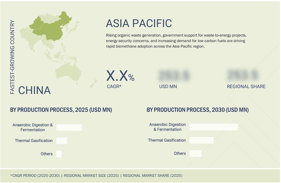 バイオメタン市場規模、シェア、動向、2030年までの世界予測 - 地域