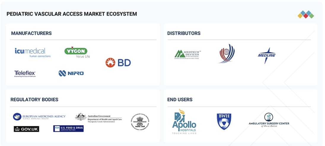 小児用血管アクセスデバイス市場規模、シェア、動向、2030年までの世界予測 - 対象企業