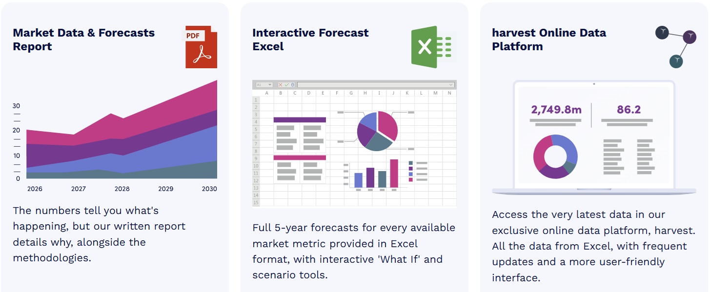eコマースの不正防止市場　2025-2030年 123