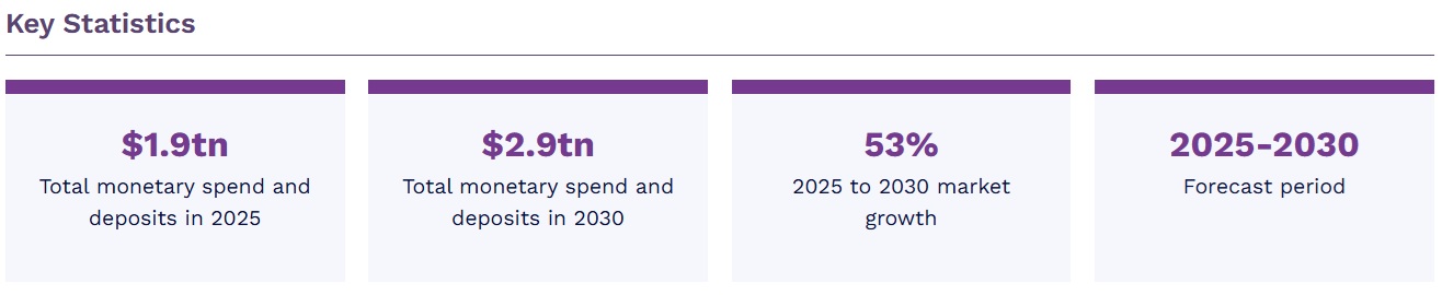 新興市場におけるモバイルマネー 2026-2030年 12