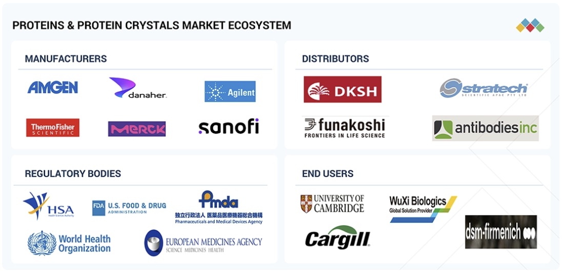 タンパク質およびタンパク質結晶市場規模、シェア、動向、2030年までの世界予測 - 対象企業