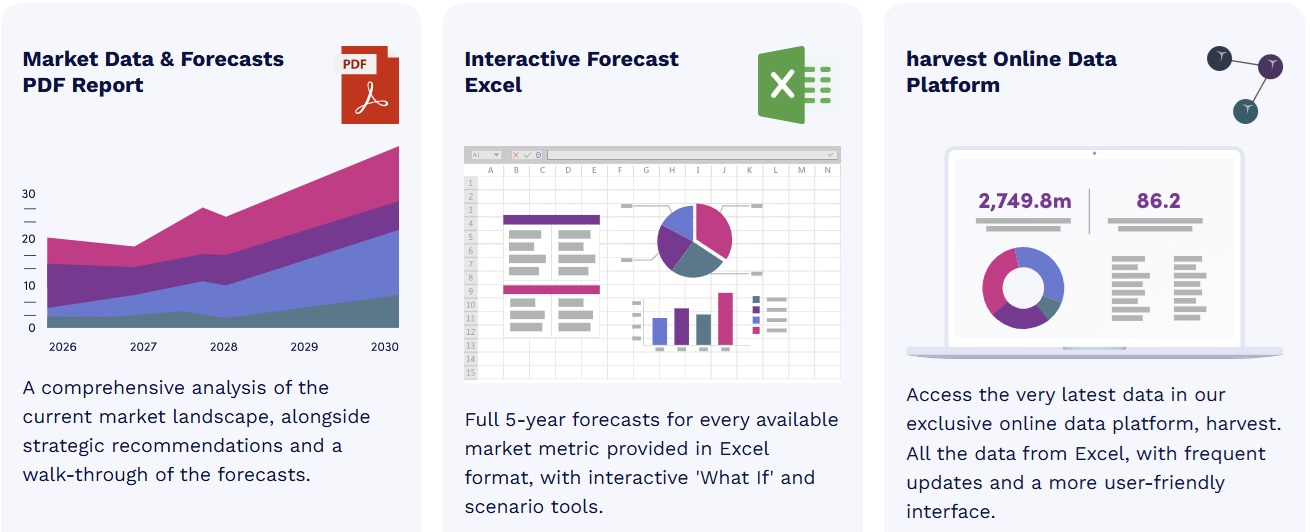 RCSビジネスメッセージ市場 2026-2030年 123