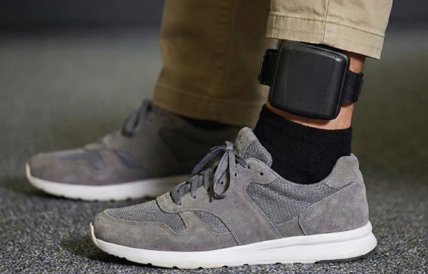 Electronic Offender Monitoring Solutions - Berg Insight