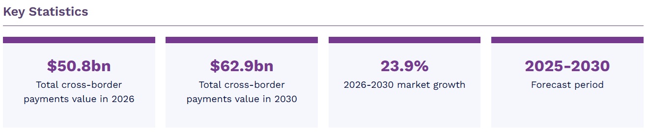クロスボーダー決済市場 2026-2030年 12