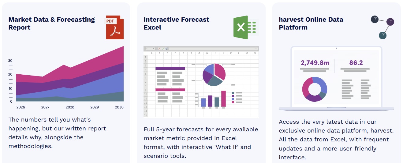 ダイレクトキャリア請求市場　2026-2030年 123