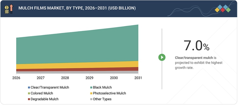マルチフィルム市場規模、シェア、動向、2031年までの世界予測 - by type