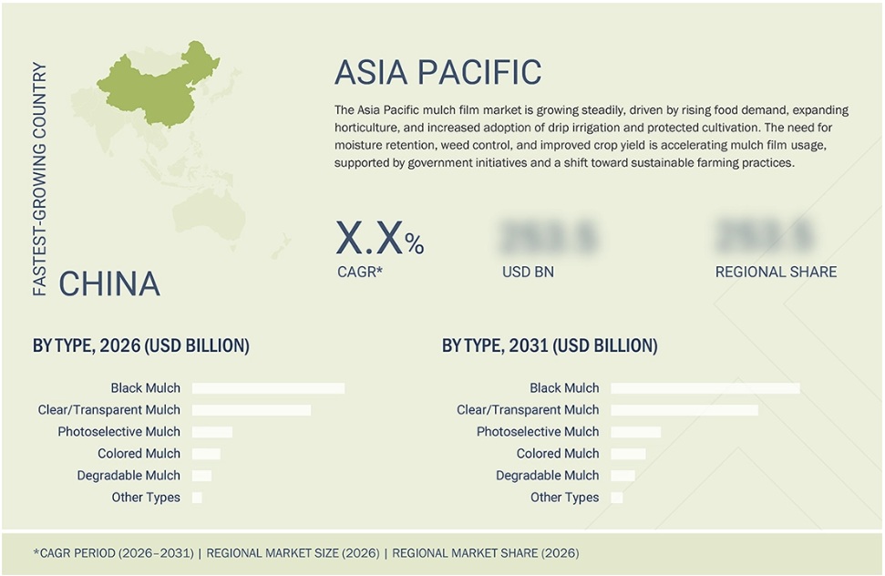マルチフィルム市場規模、シェア、動向、2031年までの世界予測 - 地域
